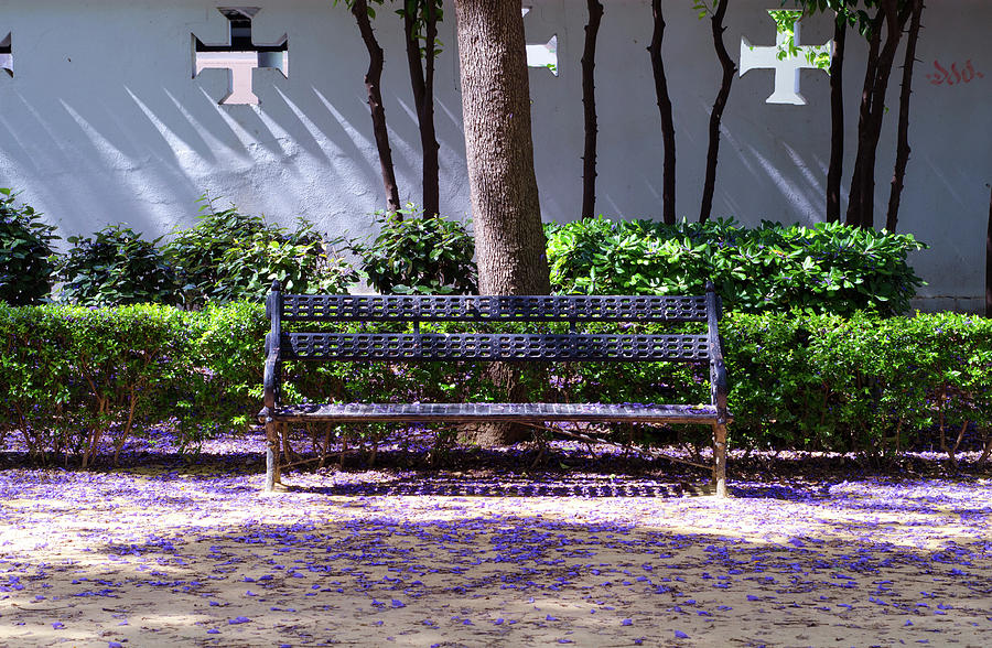 A bench in the park #1 Photograph by AM FineArtPrints