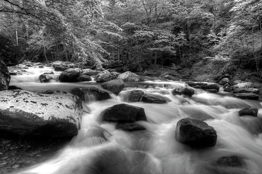 A Black And White River Photograph by Mike Eingle
