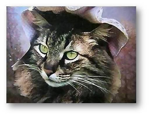 Cats Mixed Media - A Classy Lass by Brenda Garacci Cats Mixed Media - A Classy Lass by Brenda Garacci