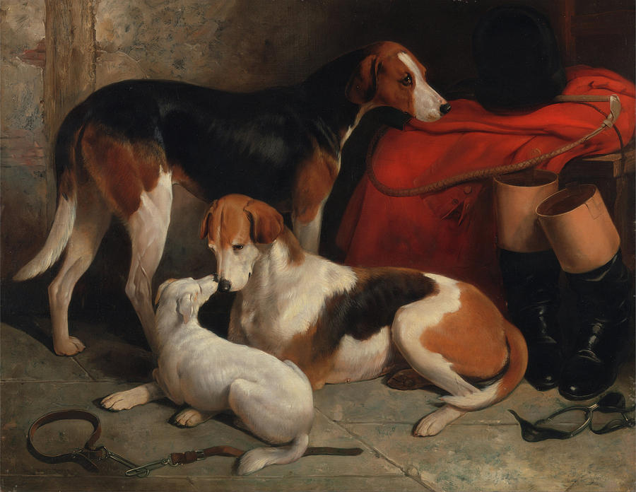 A Couple Of Foxhounds With A Terrier #1 Painting by Mountain Dreams