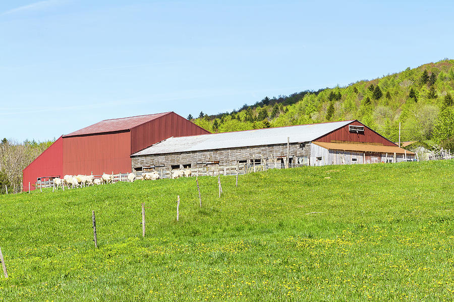 A cowshed in the Bugey mountains - France #1 Photograph by Paul MAURICE