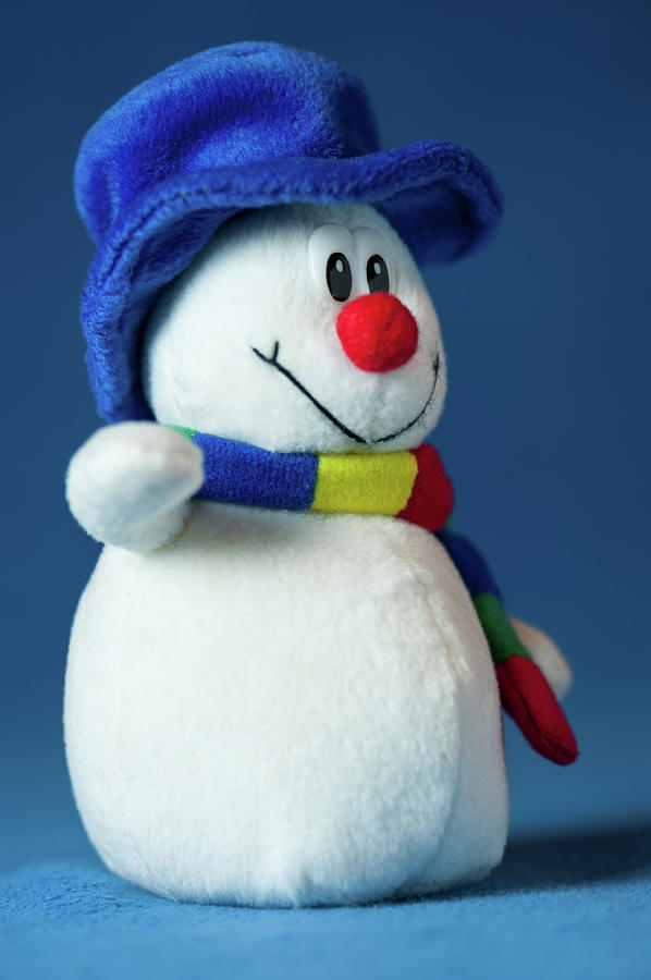 A Cute Little Soft Snowman With A Blue Hat And A Colorful Scarf Photograph