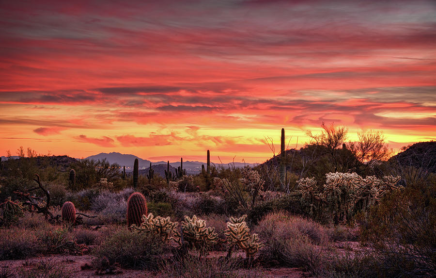 A Desert Winter Sunset Photograph by Saija Lehtonen | Pixels