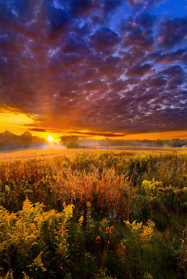 A Drifting Kiss #1 Photograph by Phil Koch