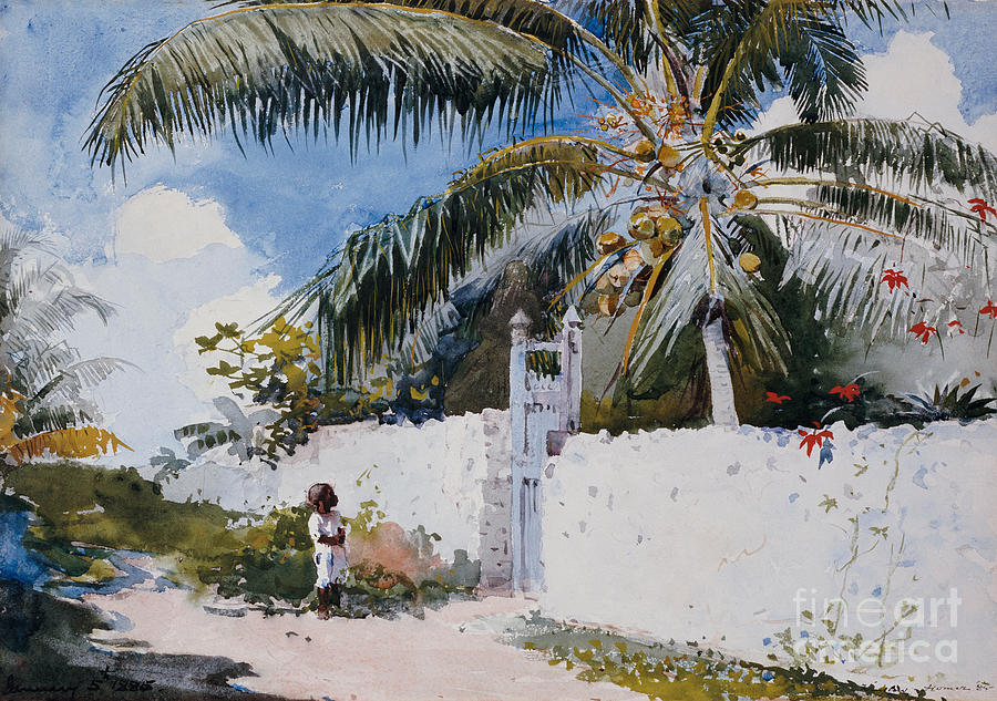 Winslow Homer Painting - A Garden in Nassau by Winslow Homer