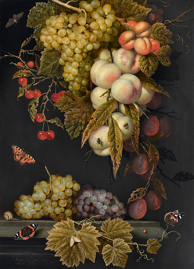 A Garland of Fruit encircled by Insects #2 Painting by Ottmar Elliger the Elder