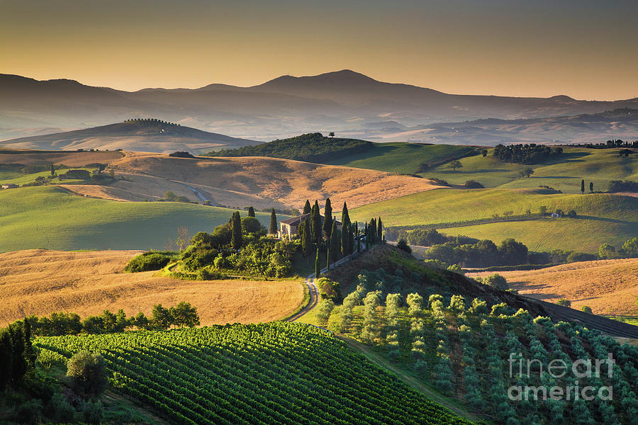 A Golden Morning in Tuscany #2 Photograph by JR Photography