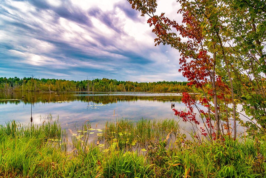 A Hint of Autumn Photograph by Steve Harrington | Fine Art America