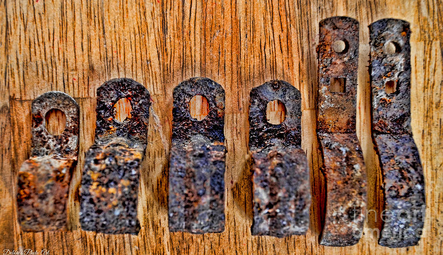 A Little Rusty Line Up 1 #1 Photograph by Debbie Portwood