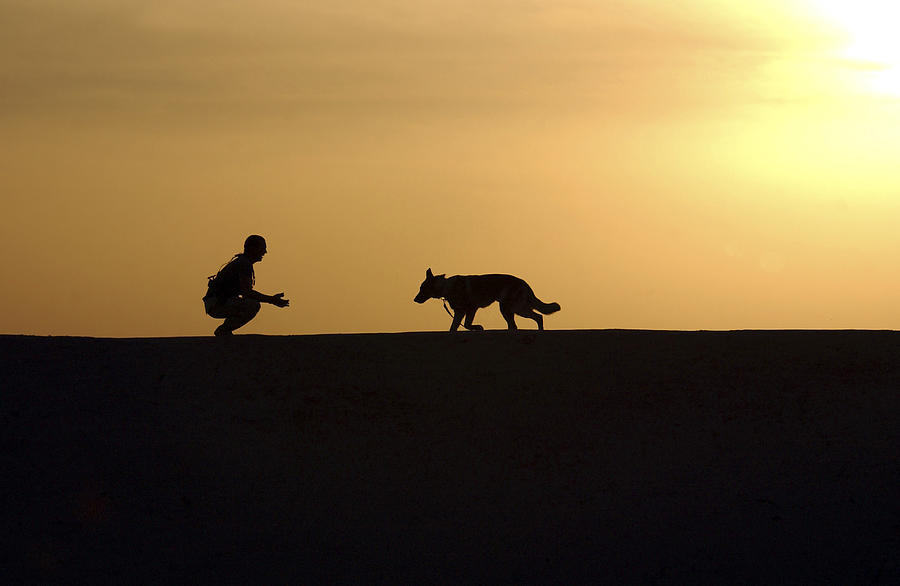 A Military Working Dog And His Handler #1 Photograph by Stocktrek Images