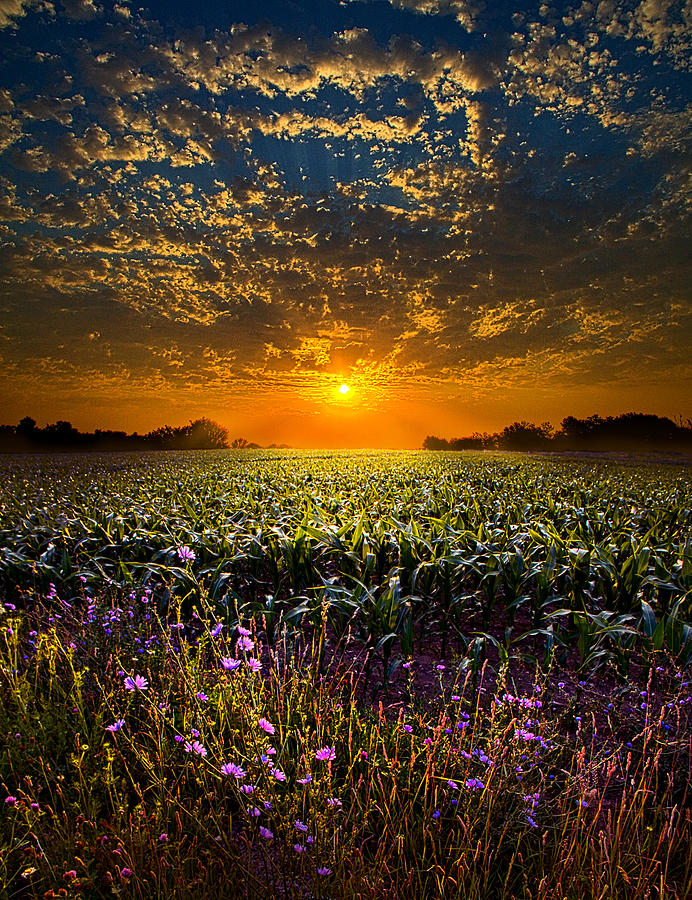 Landscape Photograph - A New Day #1 by Phil Koch