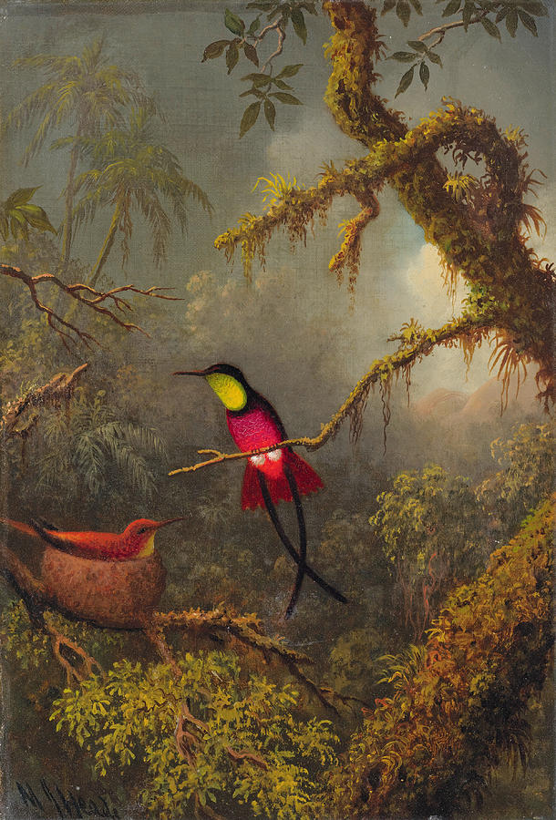 A Pair of nesting Crimson Topaz Hummingbirds #1 Painting by Martin Johnson Heade