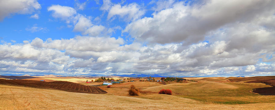 A Palouse Panorama #1 Photograph by David Patterson