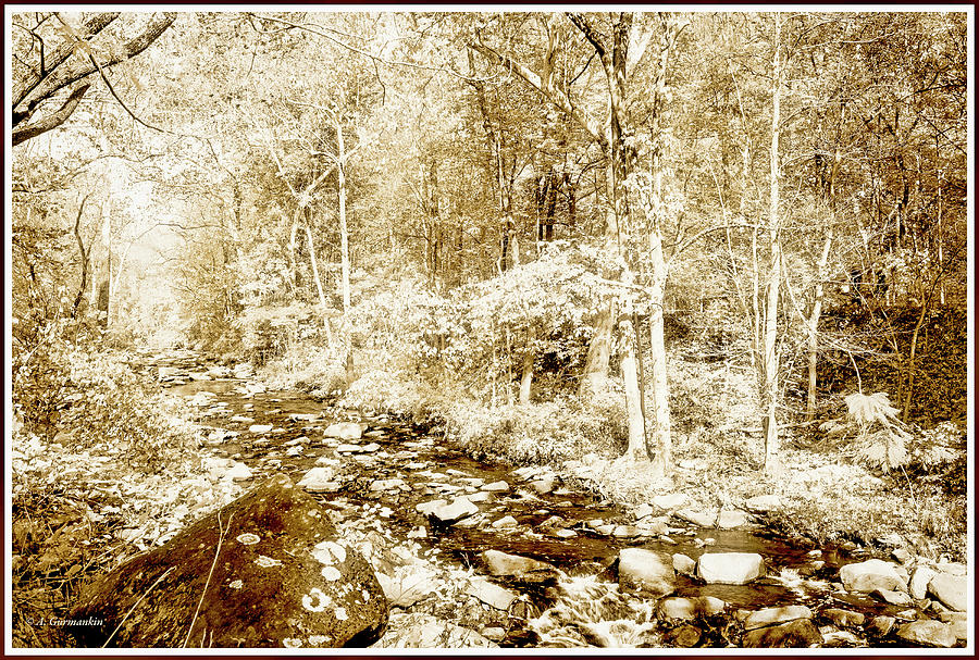 A Pennsylvania Stream in Autumn #1 Photograph by A Macarthur Gurmankin
