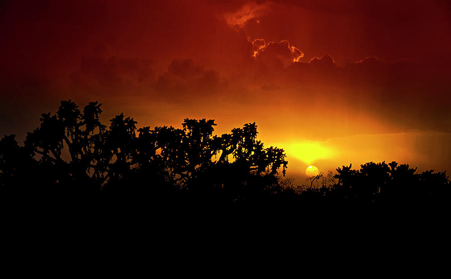 A Red Hot Desert Sunset  #2 Photograph by Saija Lehtonen