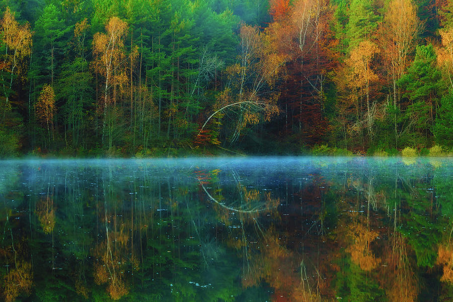 A Reflective Autumn #1 Photograph by Mountain Dreams