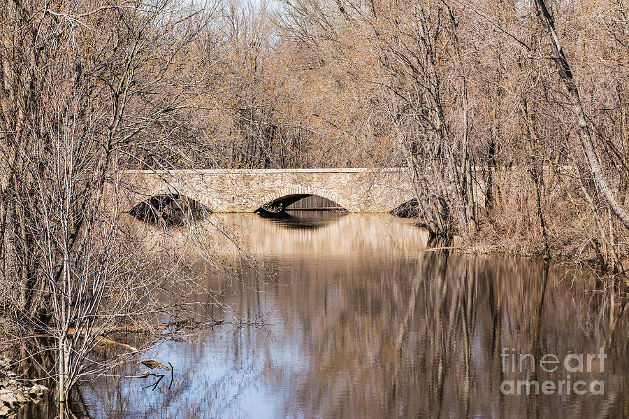 A River Runs Through It #1 Photograph by Nikki Vig