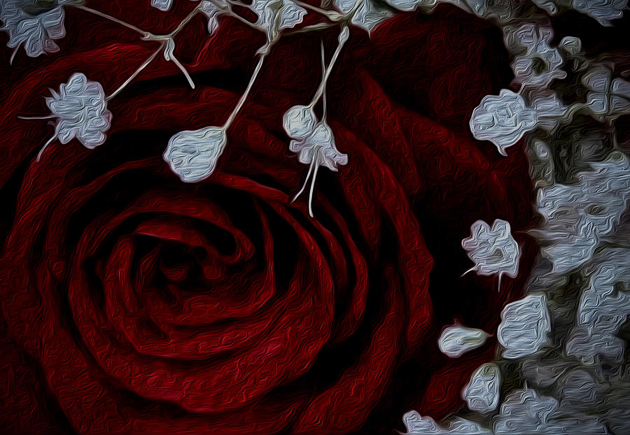 A Rose for Ruth Digital Art by Elizabeth Tillar