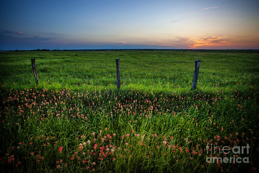 A Rural Evening In Texas Photograph