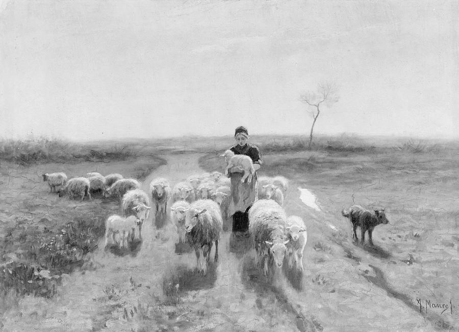 A Shepherdess and Her Flock #1 Painting by Anton Mauve