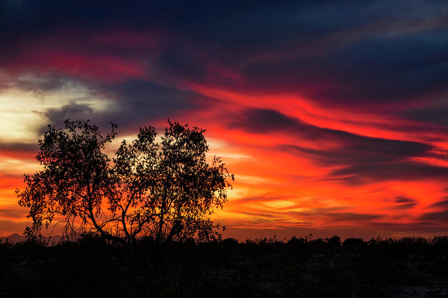 Sunset Photograph - A Silhouette Sunset  #1 by Saija Lehtonen