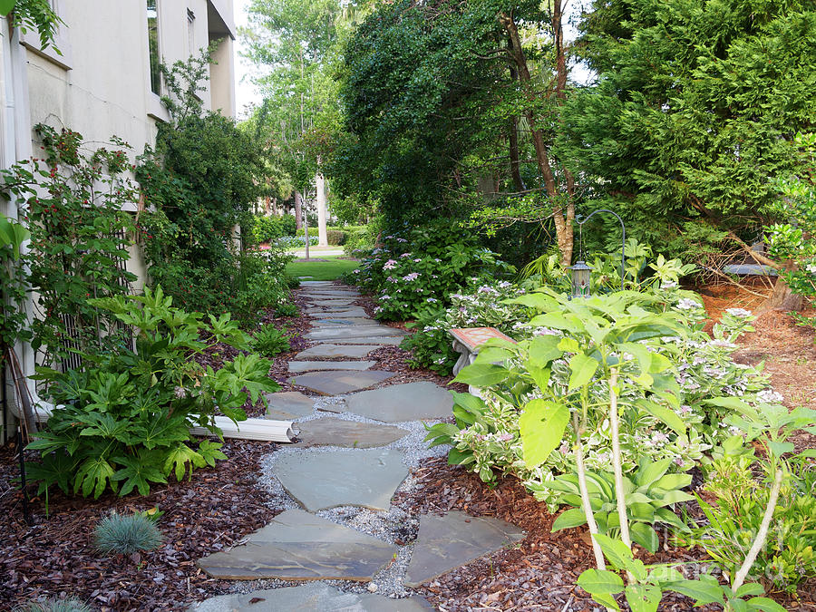 A South Carolina Garden in May Photograph by Louise Heusinkveld