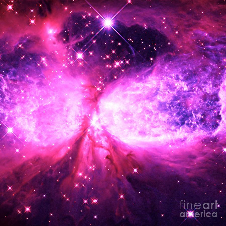 A Star is Born Pink Purple Photograph by Johari Smith - Pixels