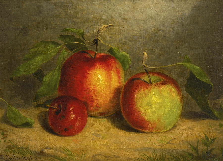 A Study for Apples from Nature #2 Painting by William Rickarby Miller