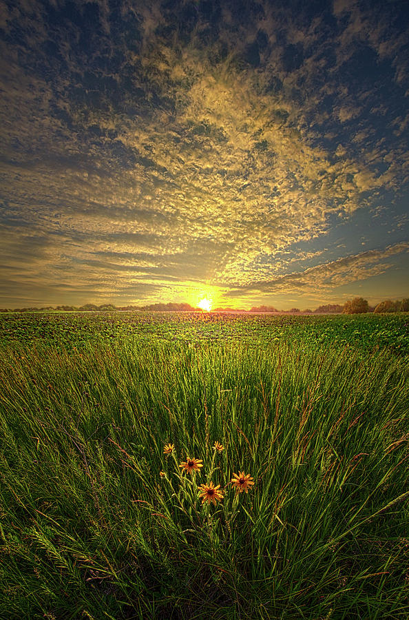 A Time Of Gifts #1 Photograph by Phil Koch