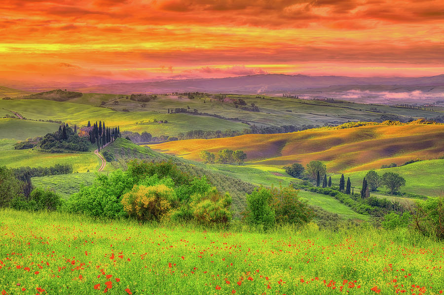 A Tuscan Dream #1 Photograph by Midori Chan