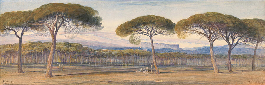A View of the Pine Woods Above Cannes #2 Drawing by Edward Lear