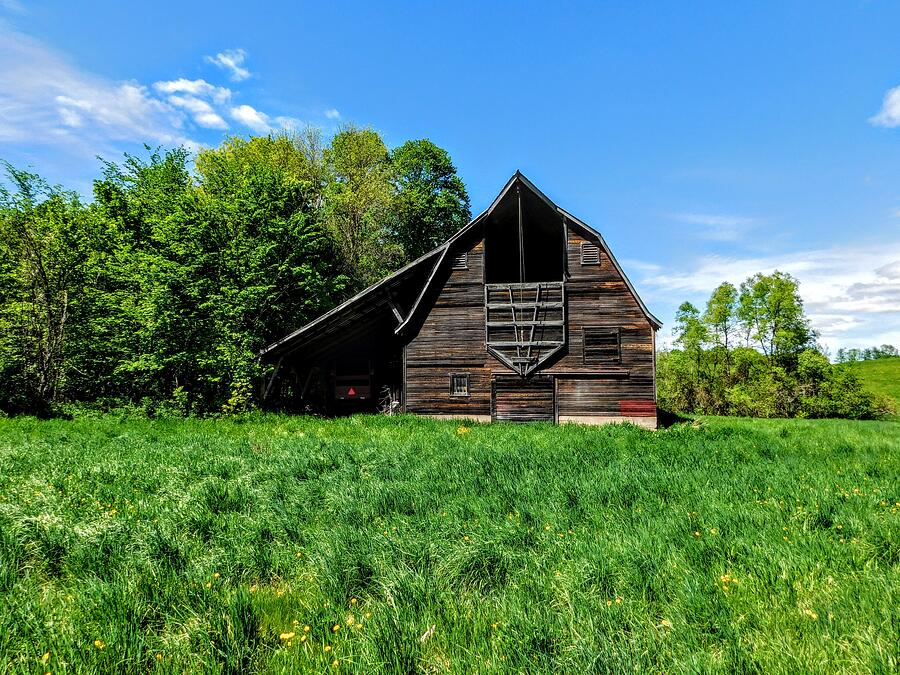 Abandoned Barn Photograph by Curtis Tilleraas - Fine Art America