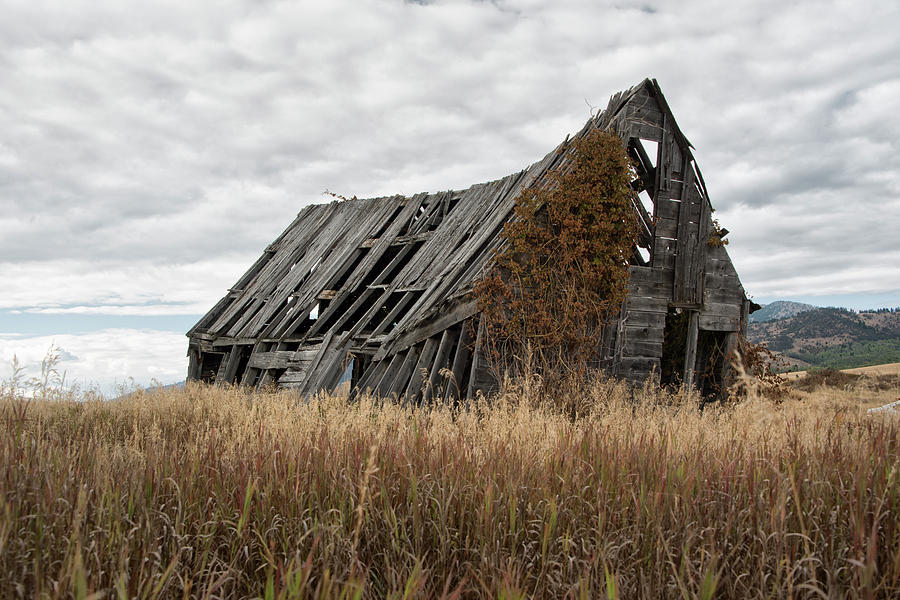 Abandoned Barn Photograph by Gej Jones