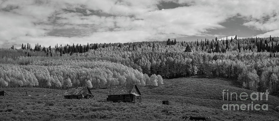 Abandoned Cabin on Ohio Pass Road Pano  #1 Photograph by Michael Ver Sprill
