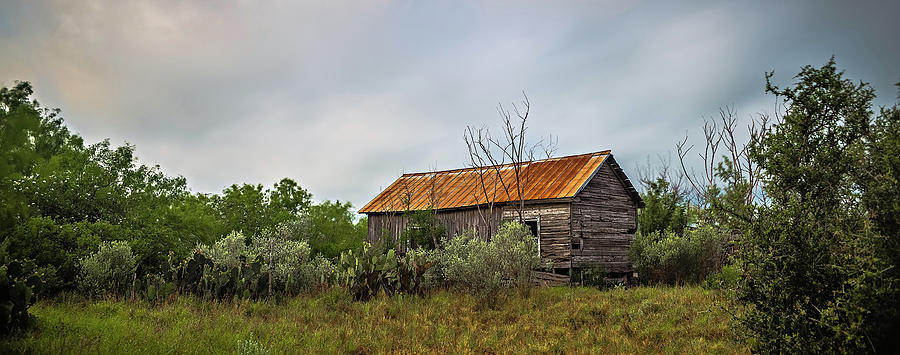 Abandoned Log Cabin House Deep Woods In Texas #1 Photograph by Alex Grichenko