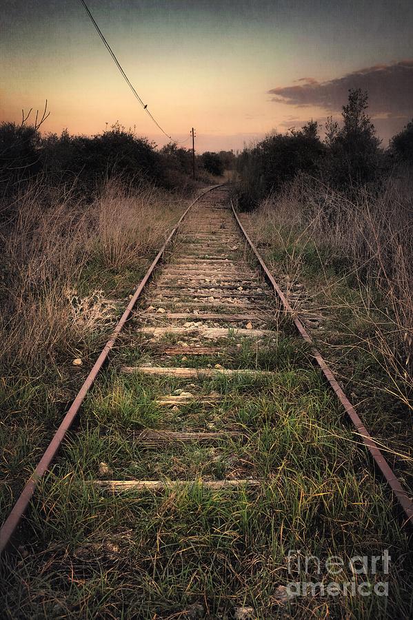 Abandoned Railway #1 Photograph by Carlos Caetano