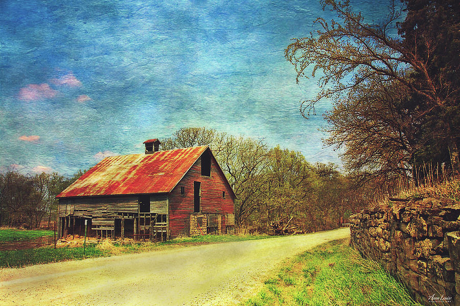 Abandoned Red Barn #2 Photograph by Anna Louise