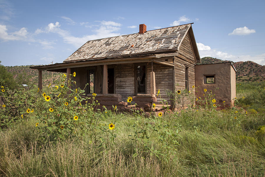 Abandoned Shack, Cuervo, New Mexico #1 Photograph by Rick Pisio