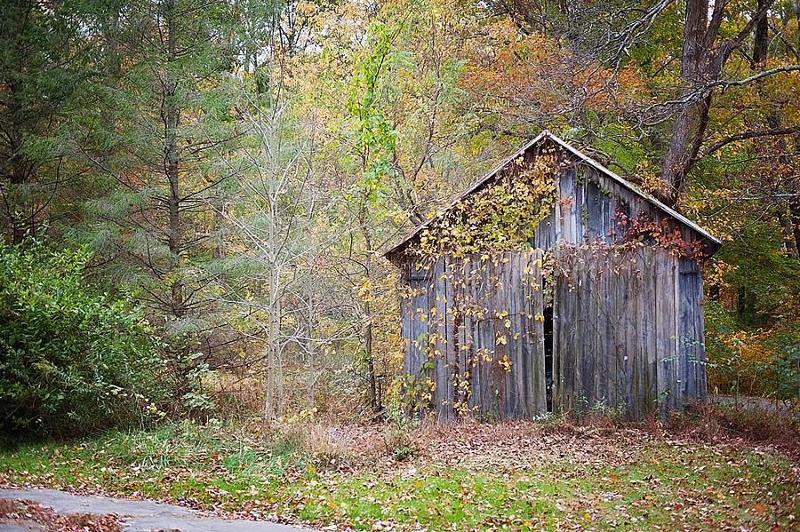 Abandoned shed #1 Photograph by Kelley Nelson