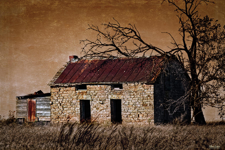 Abandoned Stone House #2 Photograph by Anna Louise