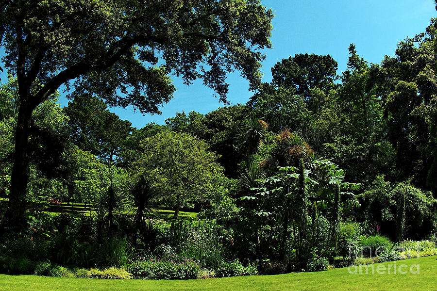 Abbotsbury Gardens Photograph