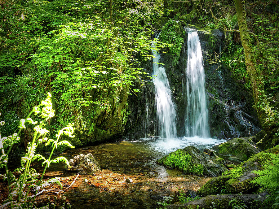 Aberfforest Waterfall #1 Photograph by Mark Llewellyn