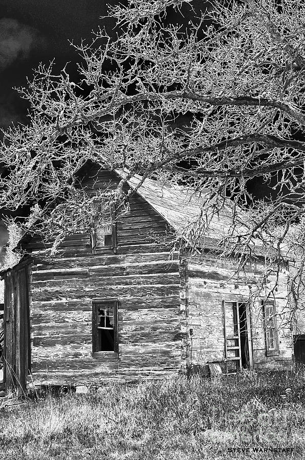 Abes Cabin #1 Photograph by Steve Warnstaff