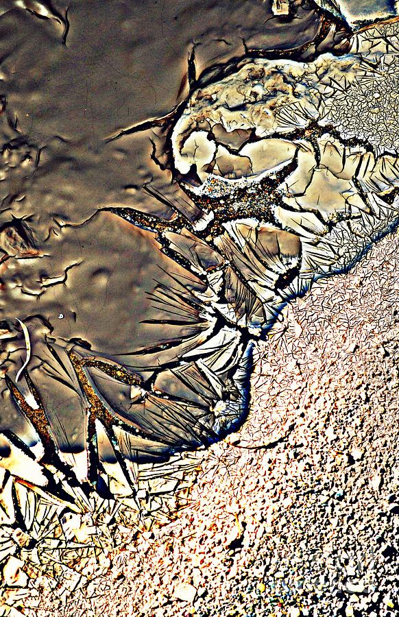 Abstract 7 #1 Photograph by Diane montana Jansson