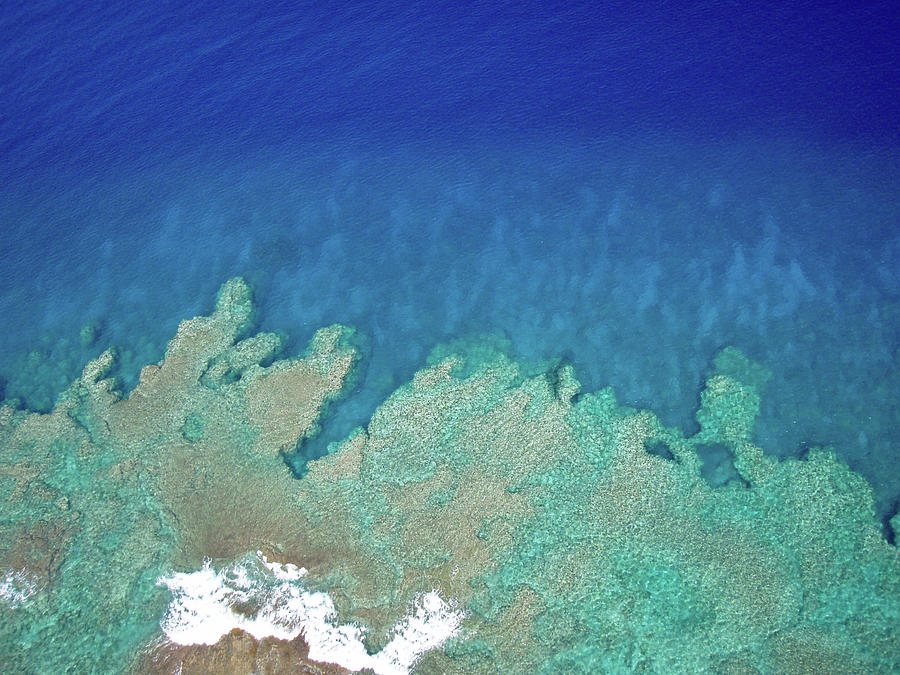 Abstract Aerial Reef Photograph by Denise Bird
