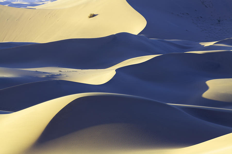 The cold shadow by Khaled Hmaad The cold shadow by Khaled Hmaad