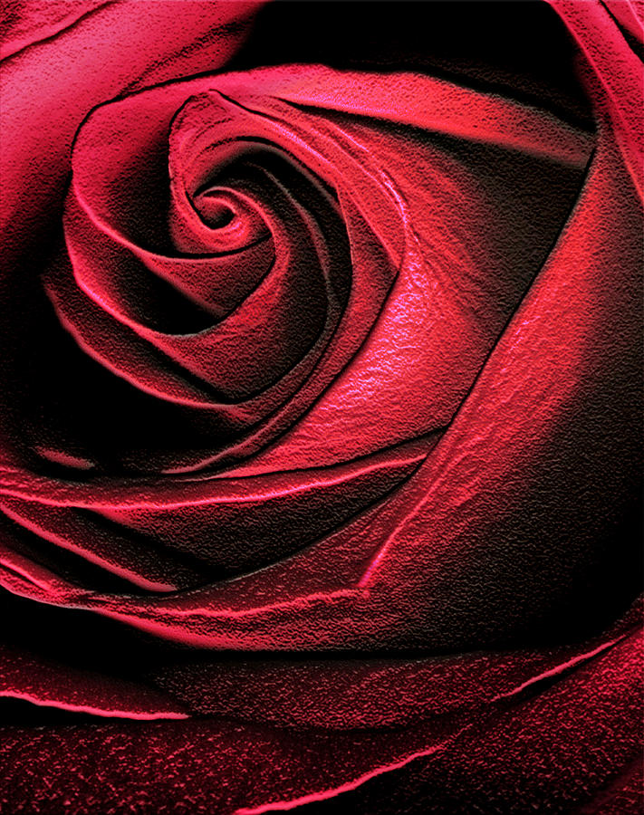 Abstract Rose #1 Photograph by Marilyn Hunt