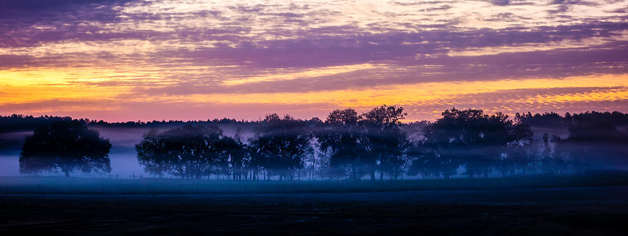 Abstract Sunrise Landscape On The Farm In Florida #1 Photograph by Alex Grichenko