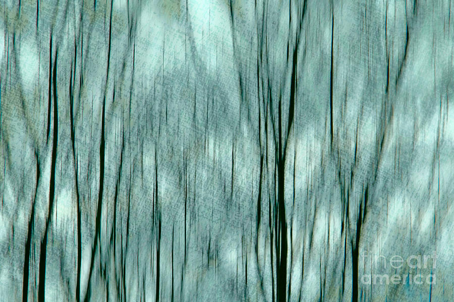Abstract Trees #3 Photograph by Dariusz Gudowicz
