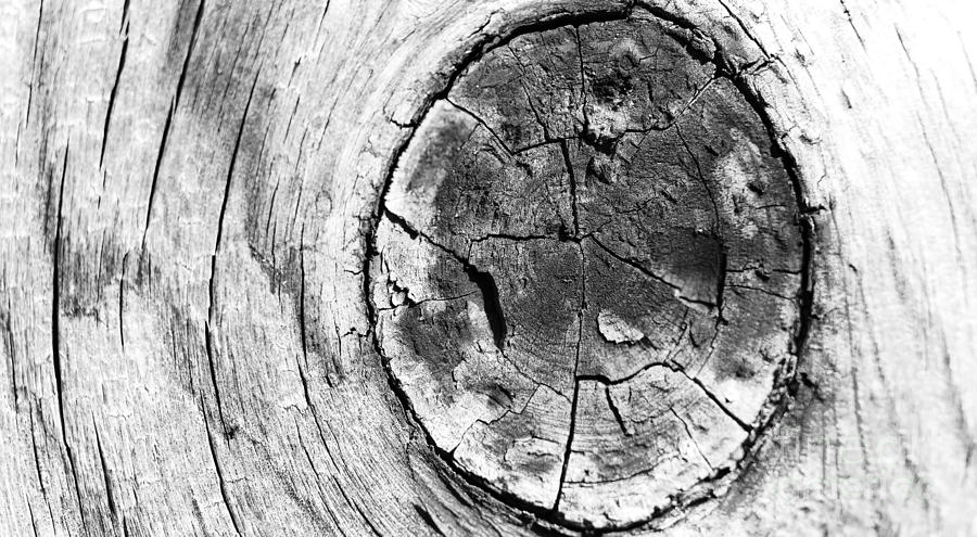 Abstract Wood Panel Knot #1 Photograph by ELITE IMAGE photography By Chad McDermott